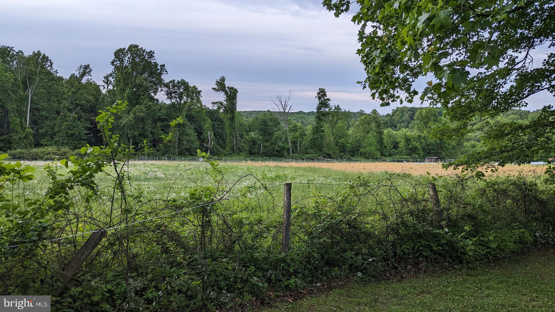 177 SUGARMAN ROAD