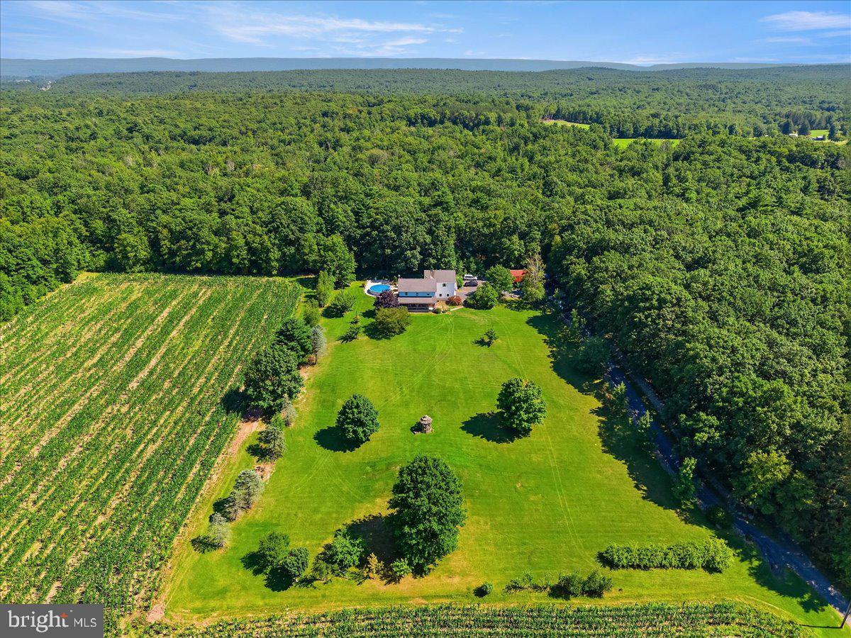 163 MULBERRY LANE
