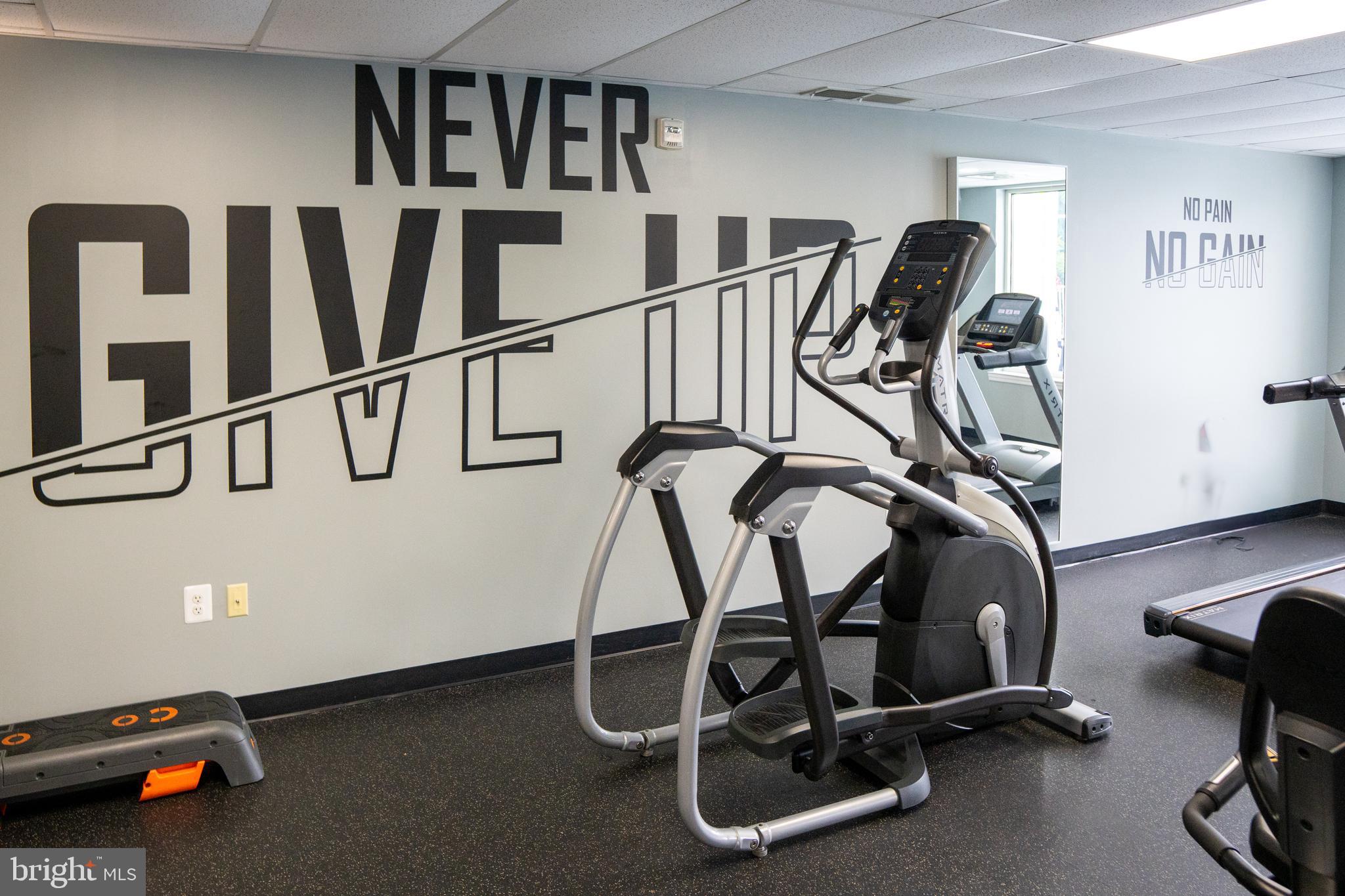 ISABELLA AT MONTICELLO MEWS - Residential