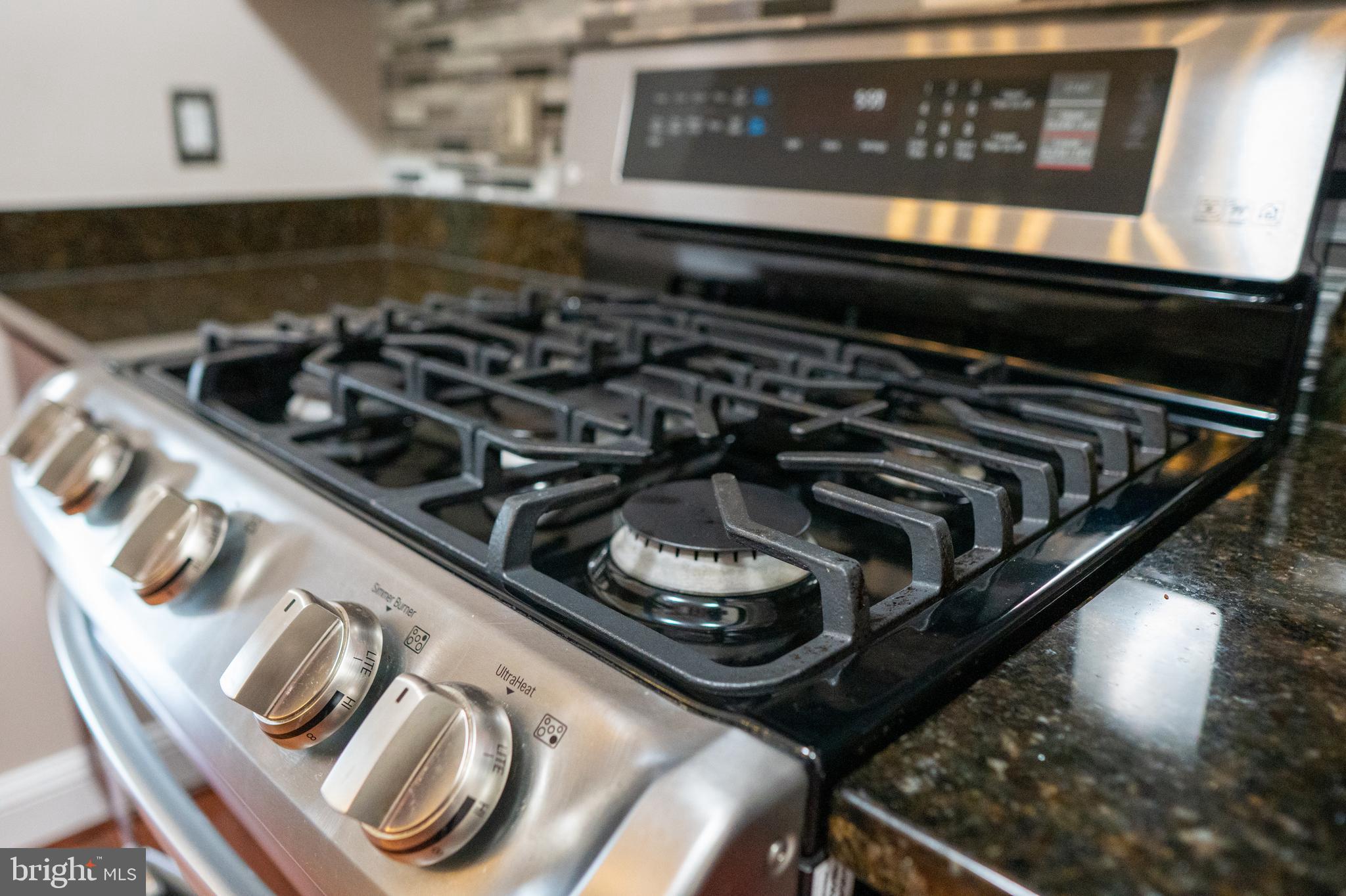 ISABELLA AT MONTICELLO MEWS - Residential