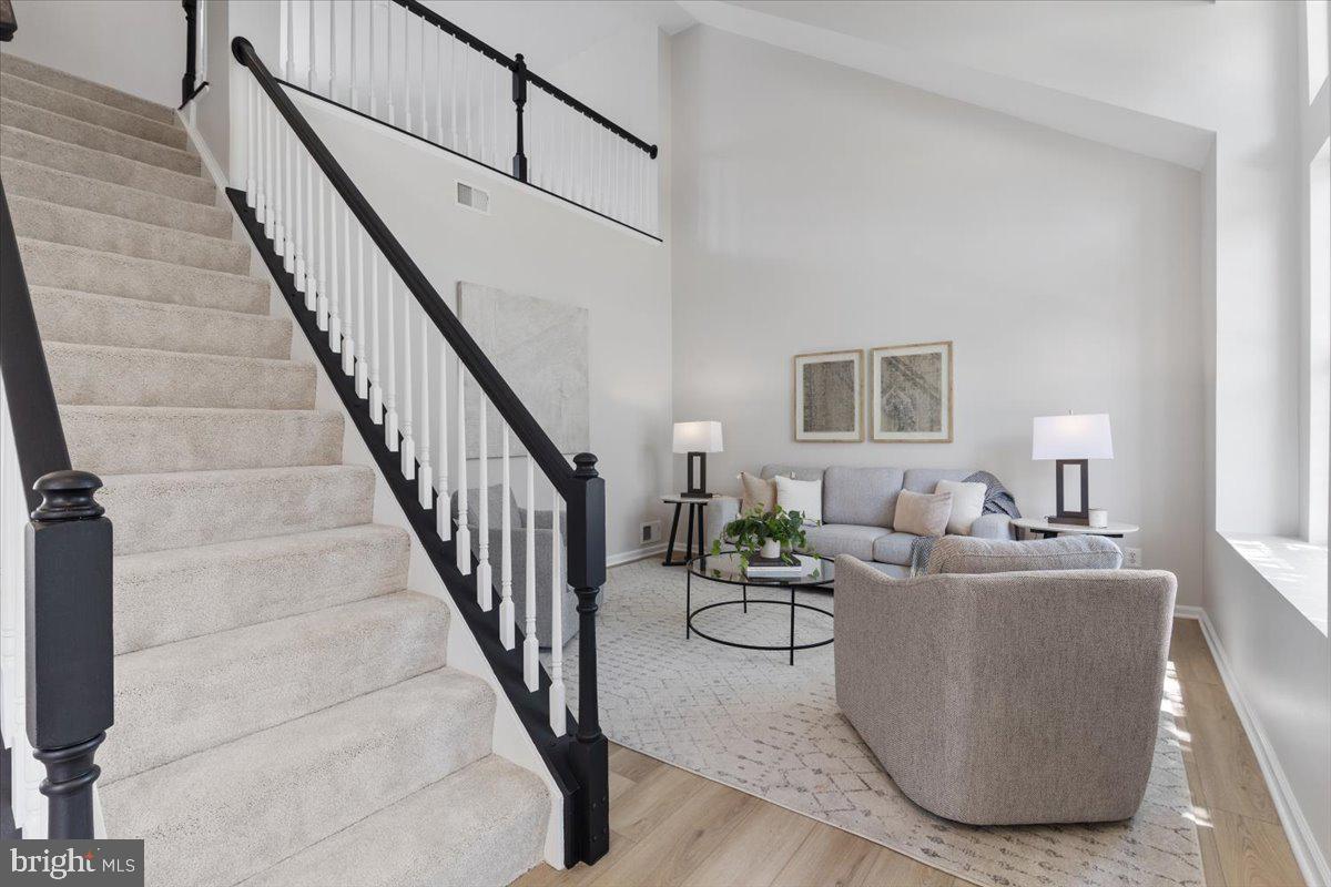 43290 RUSH RUN TERRACE