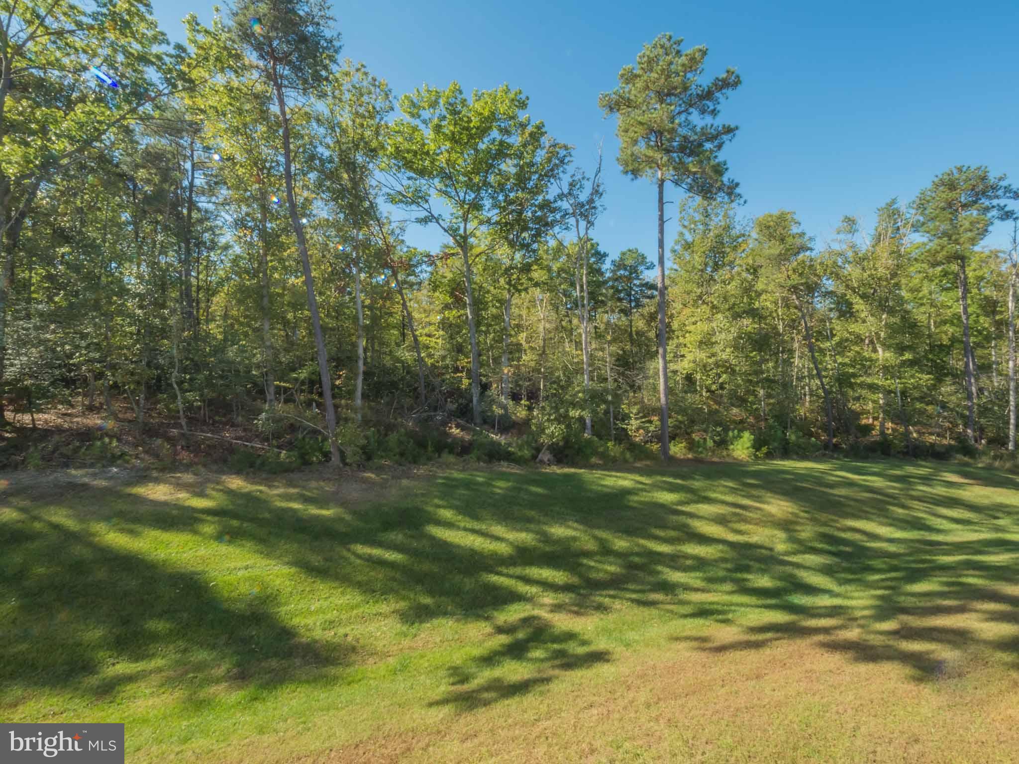 MAGNOLIA PARK AT WILDEWOOD - Residential