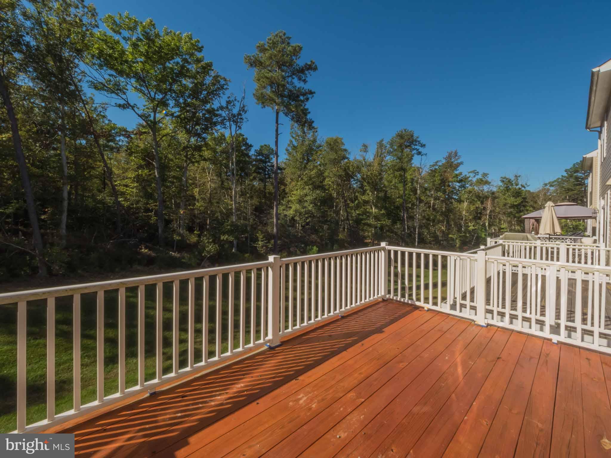 MAGNOLIA PARK AT WILDEWOOD - Residential