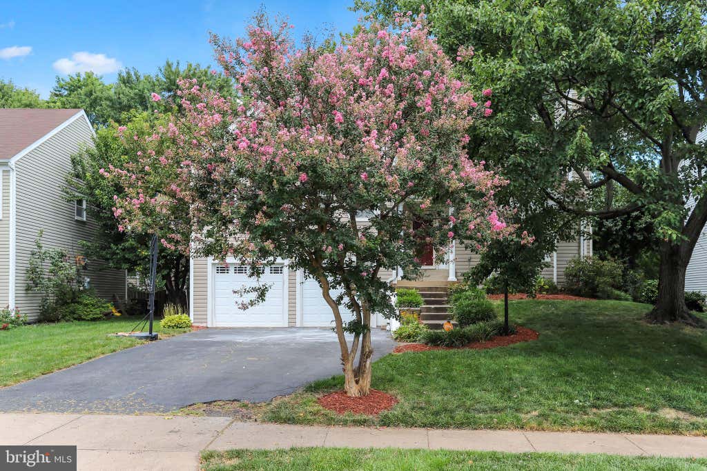 Photo of 13716 Springhaven Drive, CHANTILLY, VA 20151 (MLS # VAFX2332856)