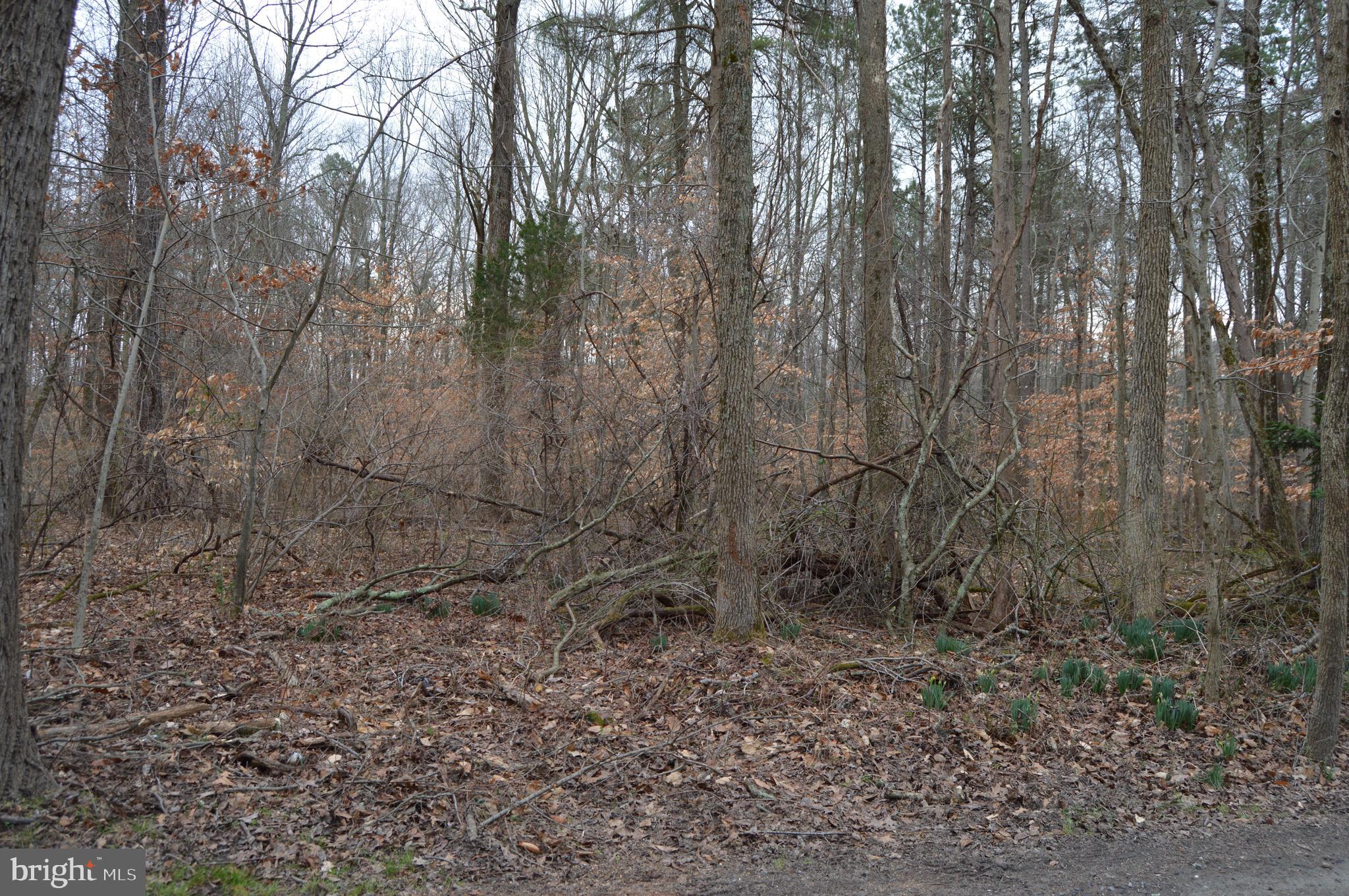BROWNSVILLE ROAD
