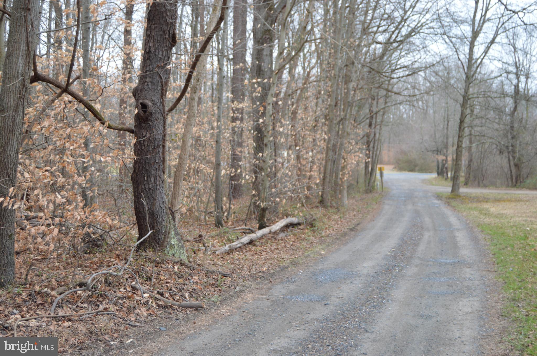 BROWNSVILLE ROAD