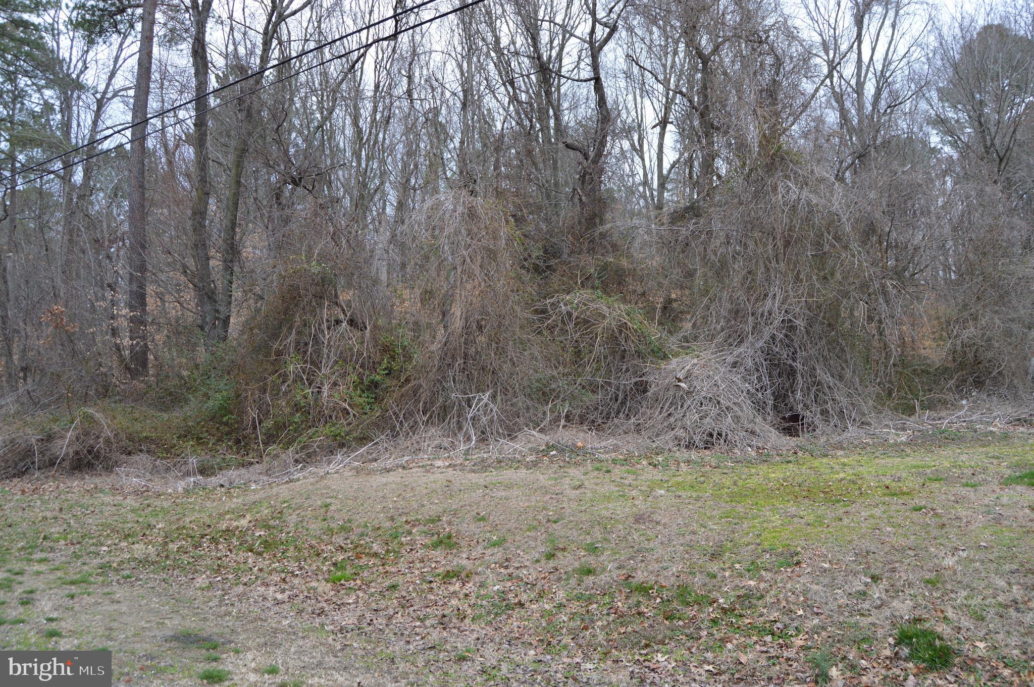 BROWNSVILLE ROAD