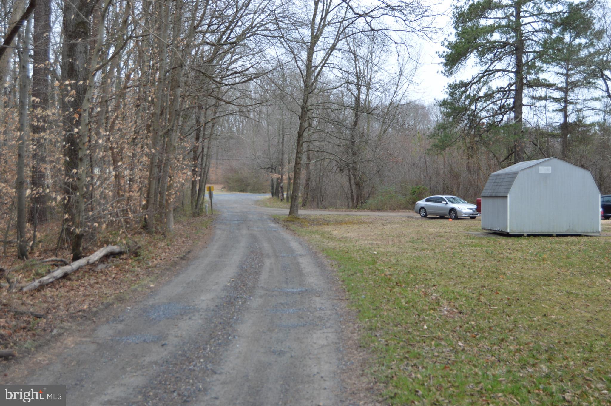 BROWNSVILLE ROAD