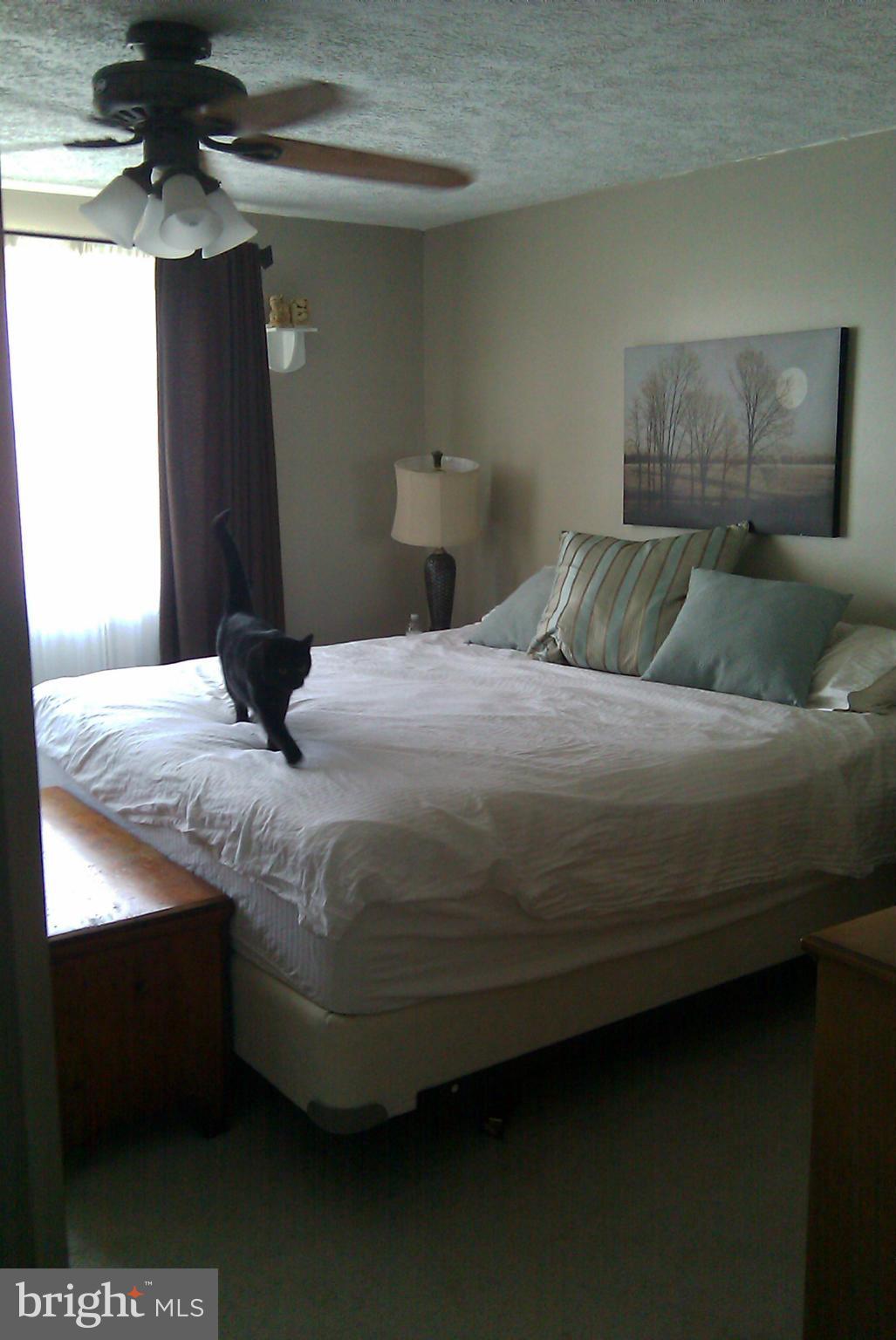 BOX HILL SOUTH - Residential Lease