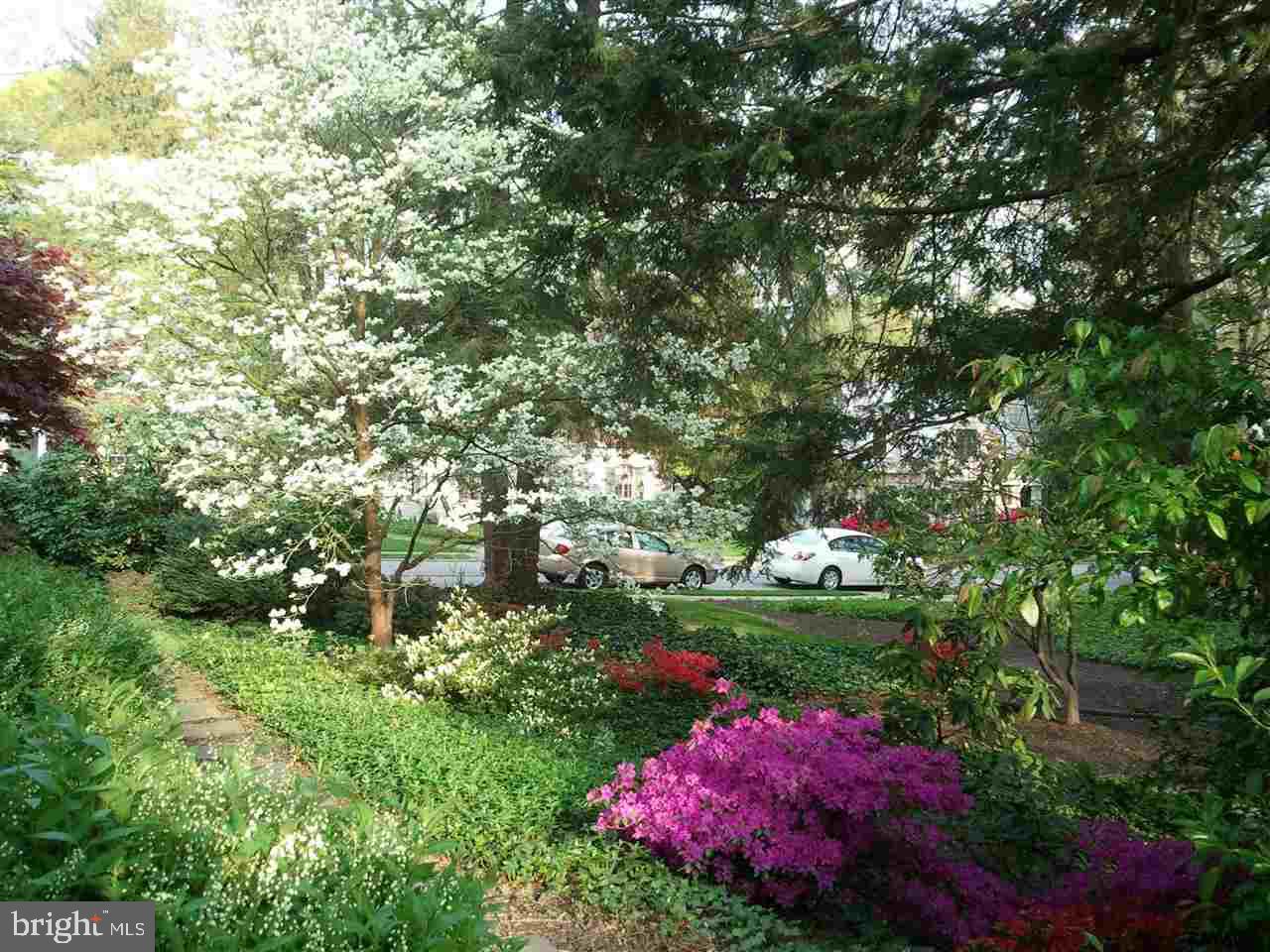 SPRINGDALE - Residential