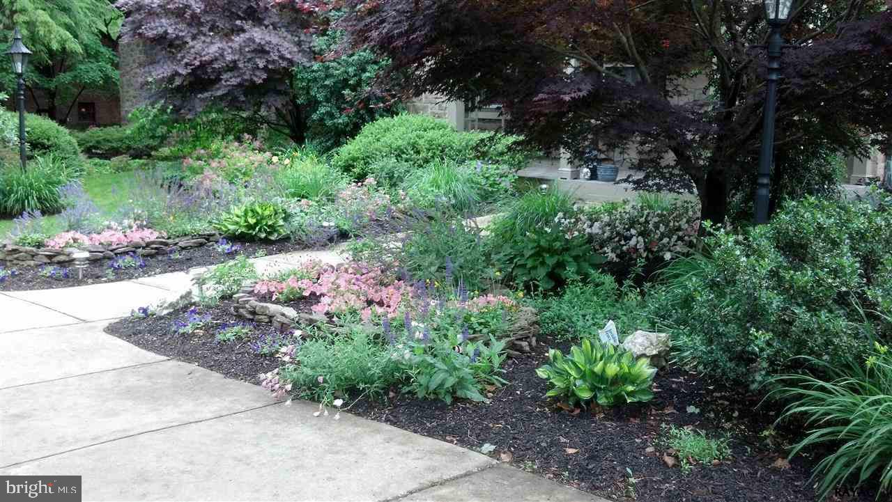 SPRINGDALE - Residential