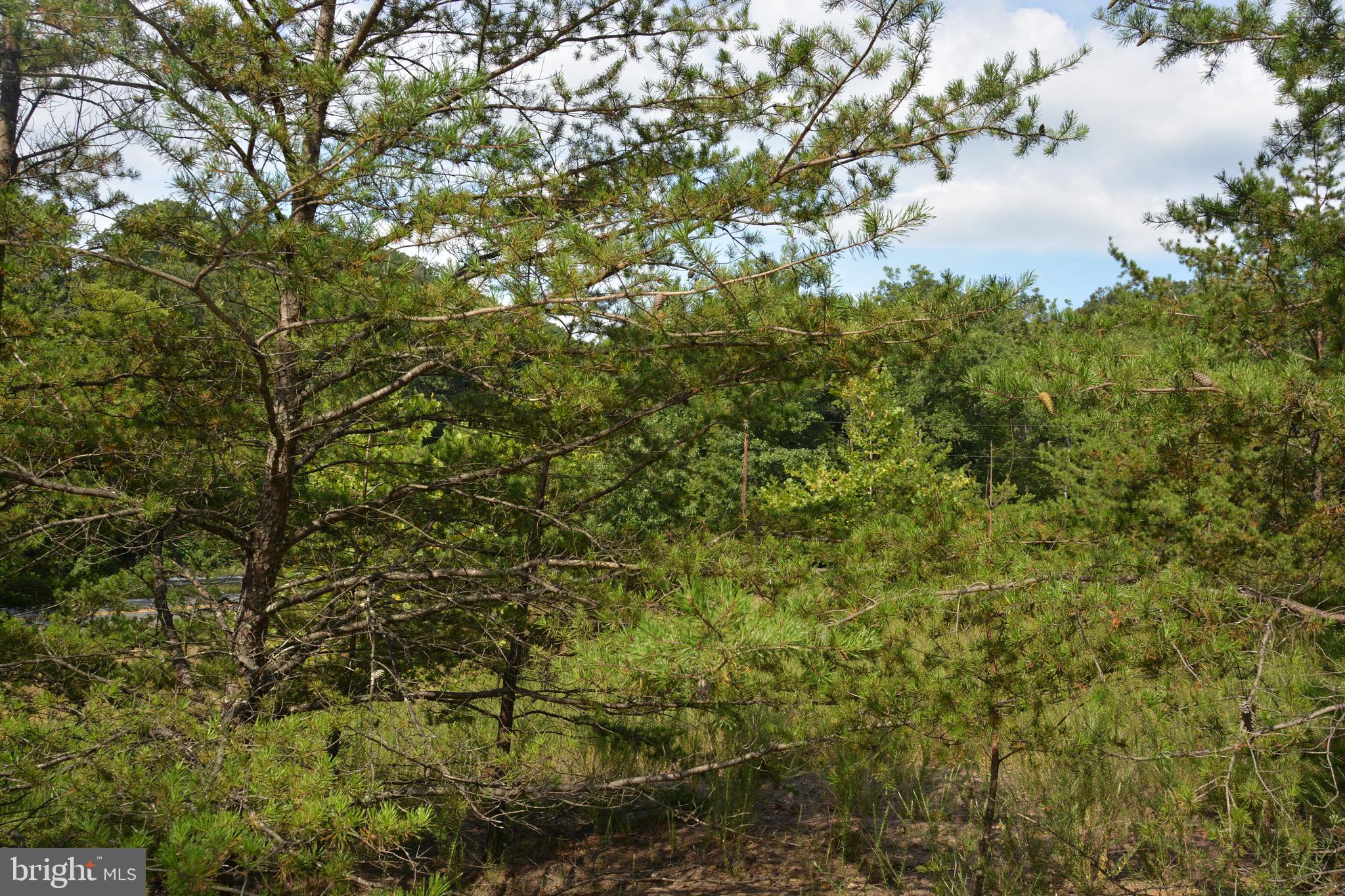 BRUSH CREEK ROAD 30+ ACRES