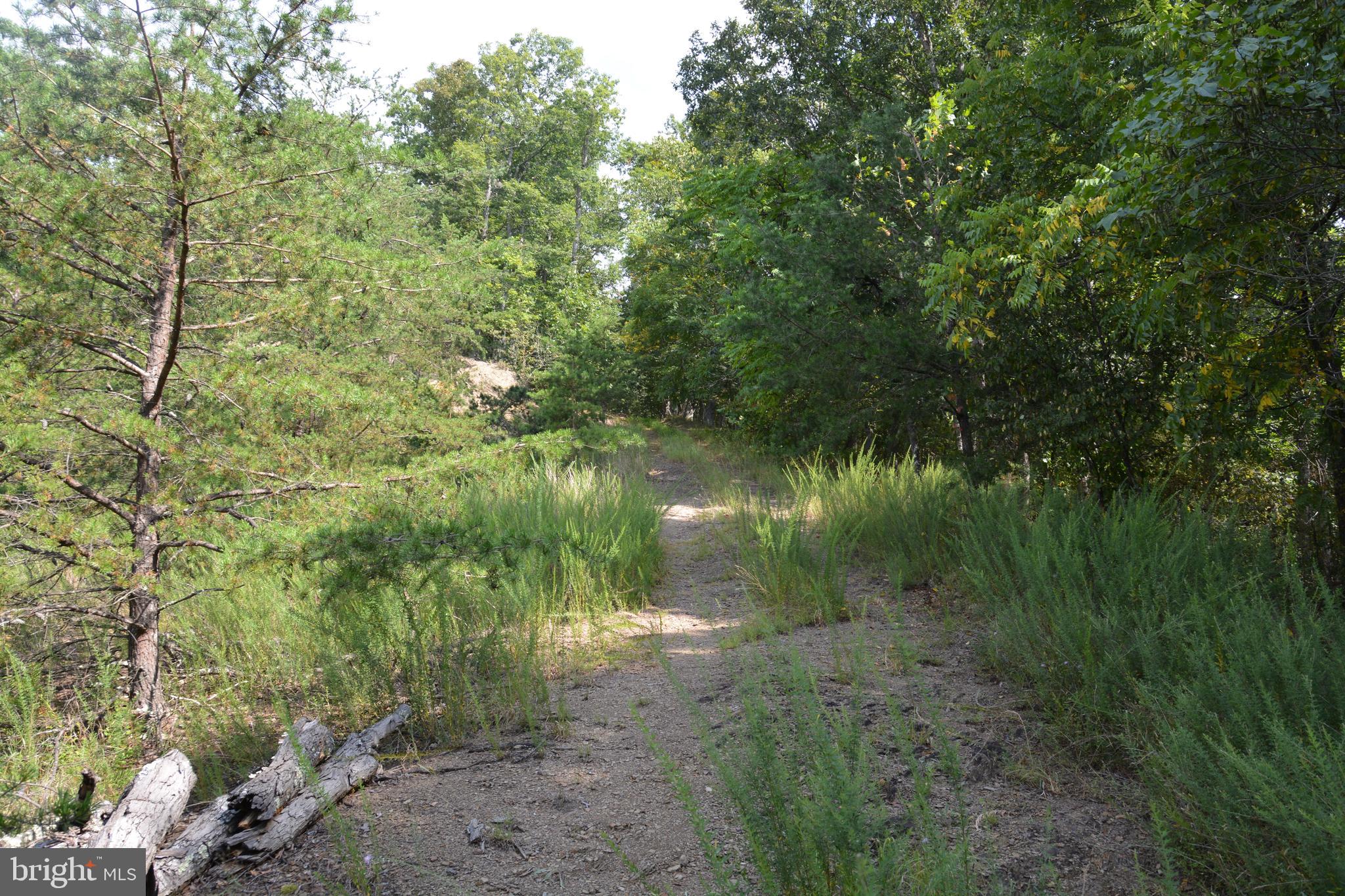 BRUSH CREEK ROAD 30+ ACRES