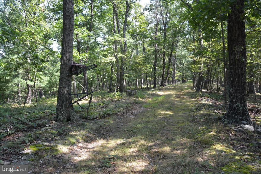 Unrestricted and unique , this 30+ acre wooded site is a 20 minute drive north of Winchester.  The land is sandwiched between two state roads.  You have to drive the ridge to appreciate what the land has to offer for recreation (the hunting is fantastic), potential for building and  taking in  the beauty of the tall hardwoods.  The ridge does fall off on both sides to the roads down below, but the peacefulness and rural feel will appeal to you. This parcel has been surveyed and is across the road from the parent tract of 87+ acres, where the owners reside.  The property is subject to approval to be subdivided from the parent tract.  The land is in "Land Use" for tax relief benefits. The future Buyer will assume any rollback tax that may be associated with future subdivision of this 30 acres. Ask about the details.  Please take a copy of the plat and tax map along with you and let the Listing Agent know if you plan to visit the property during hunting season.