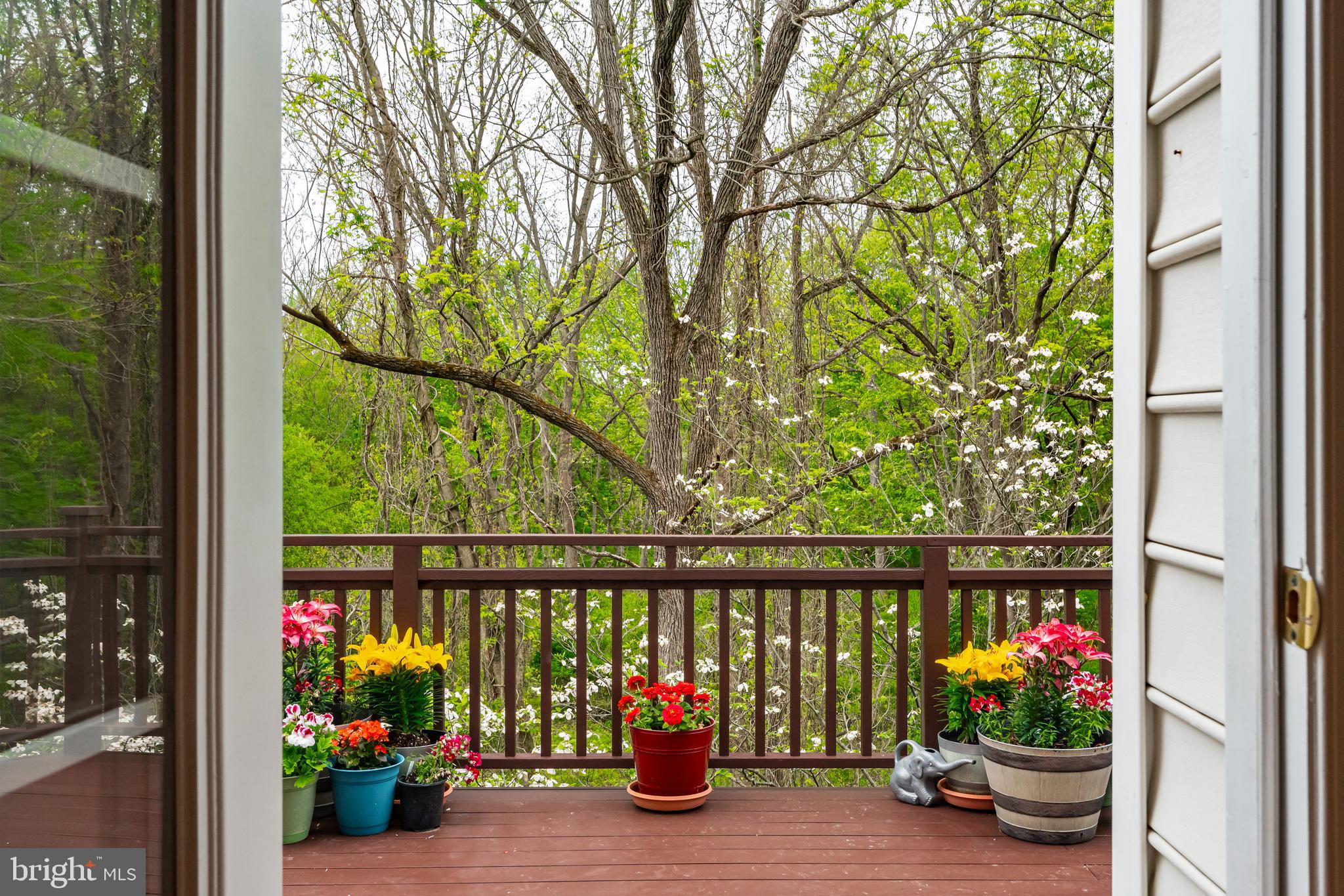 DOYLESTOWN STATION - Residential