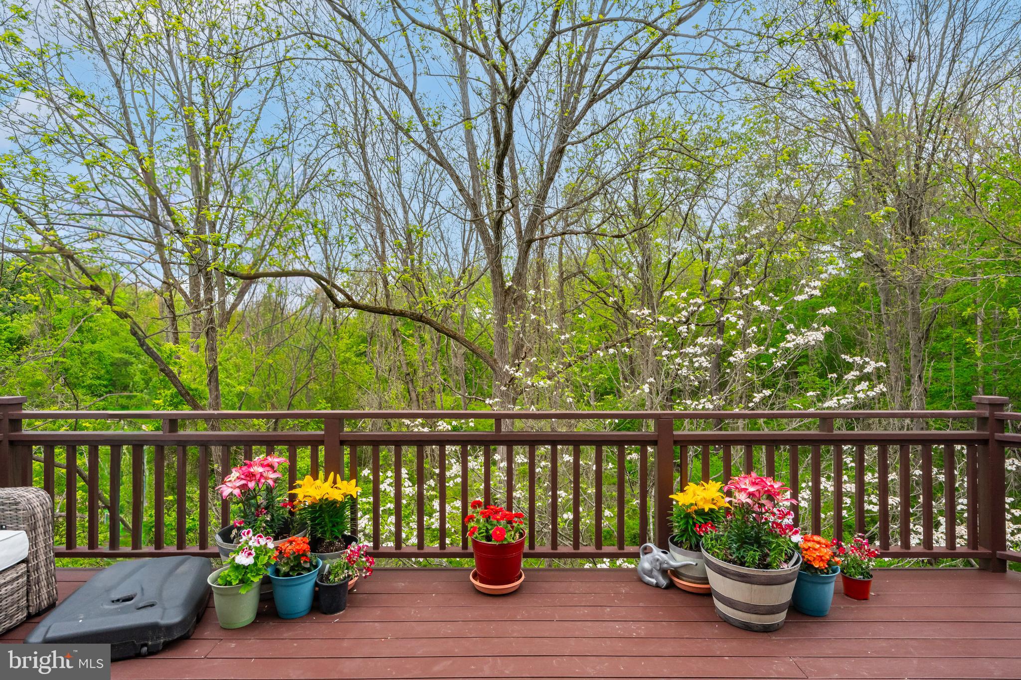 DOYLESTOWN STATION - Residential