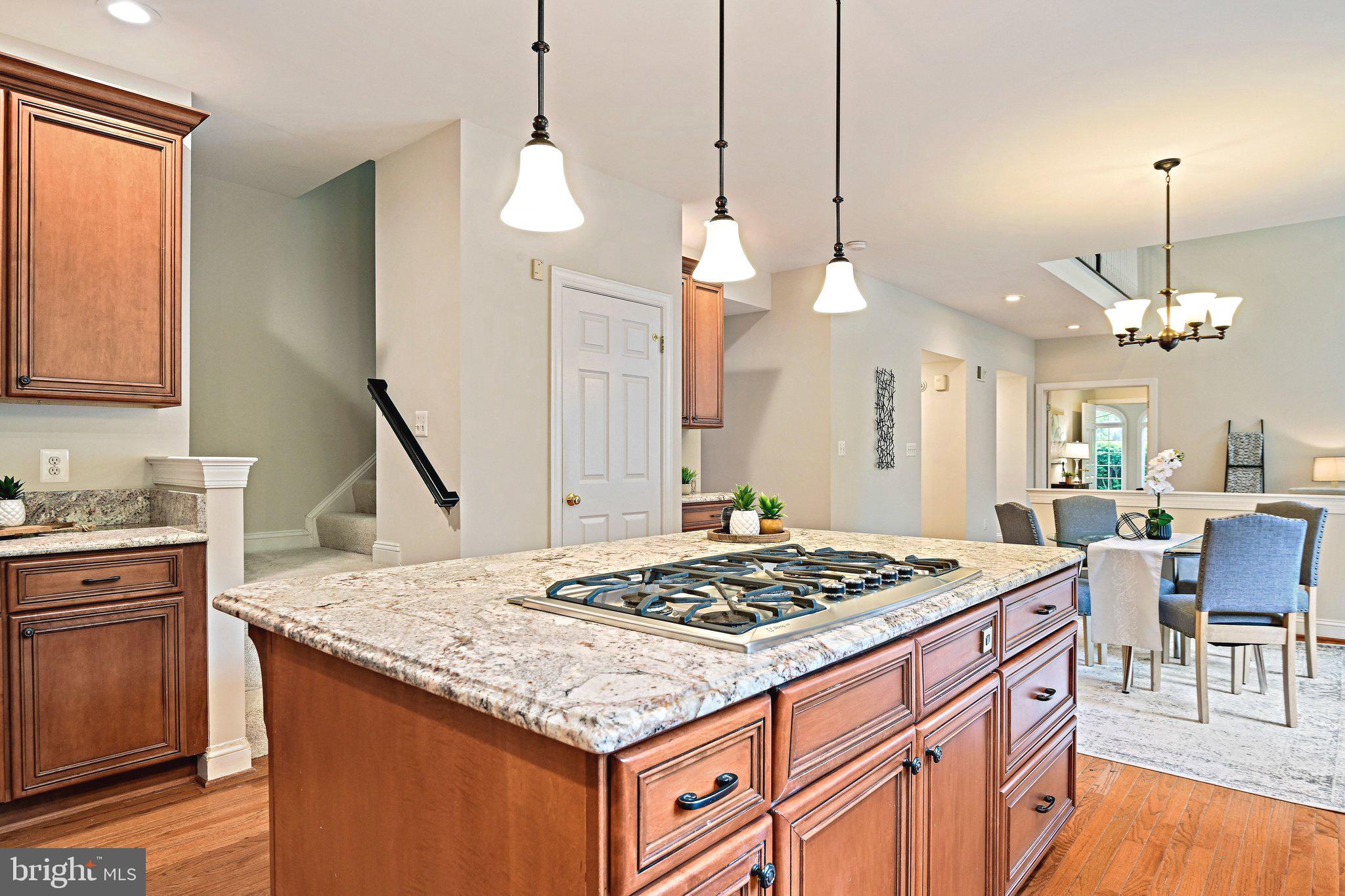 HUNTER MILL ESTATES - Residential
