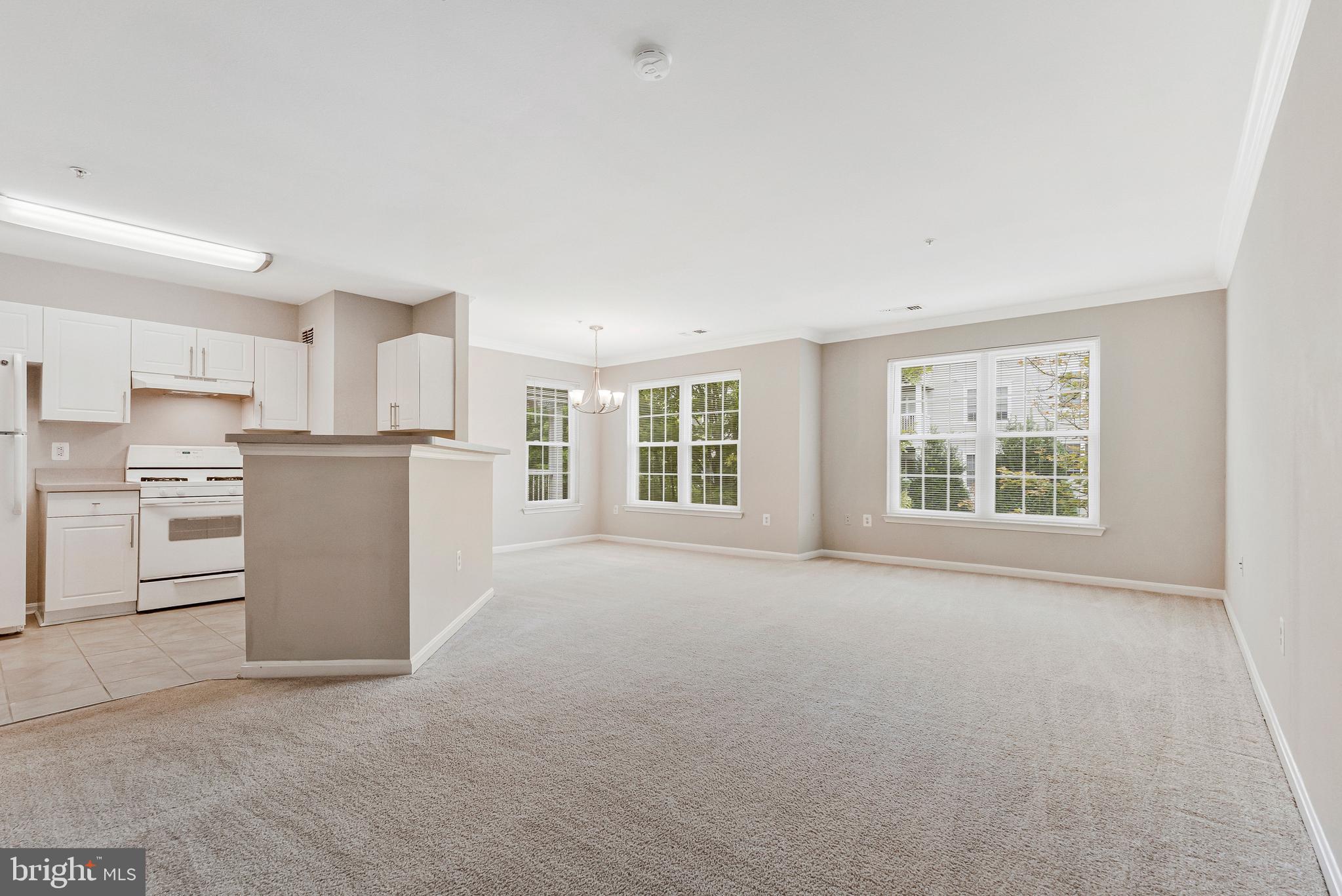 12877 FAIR BRIAR LANE
