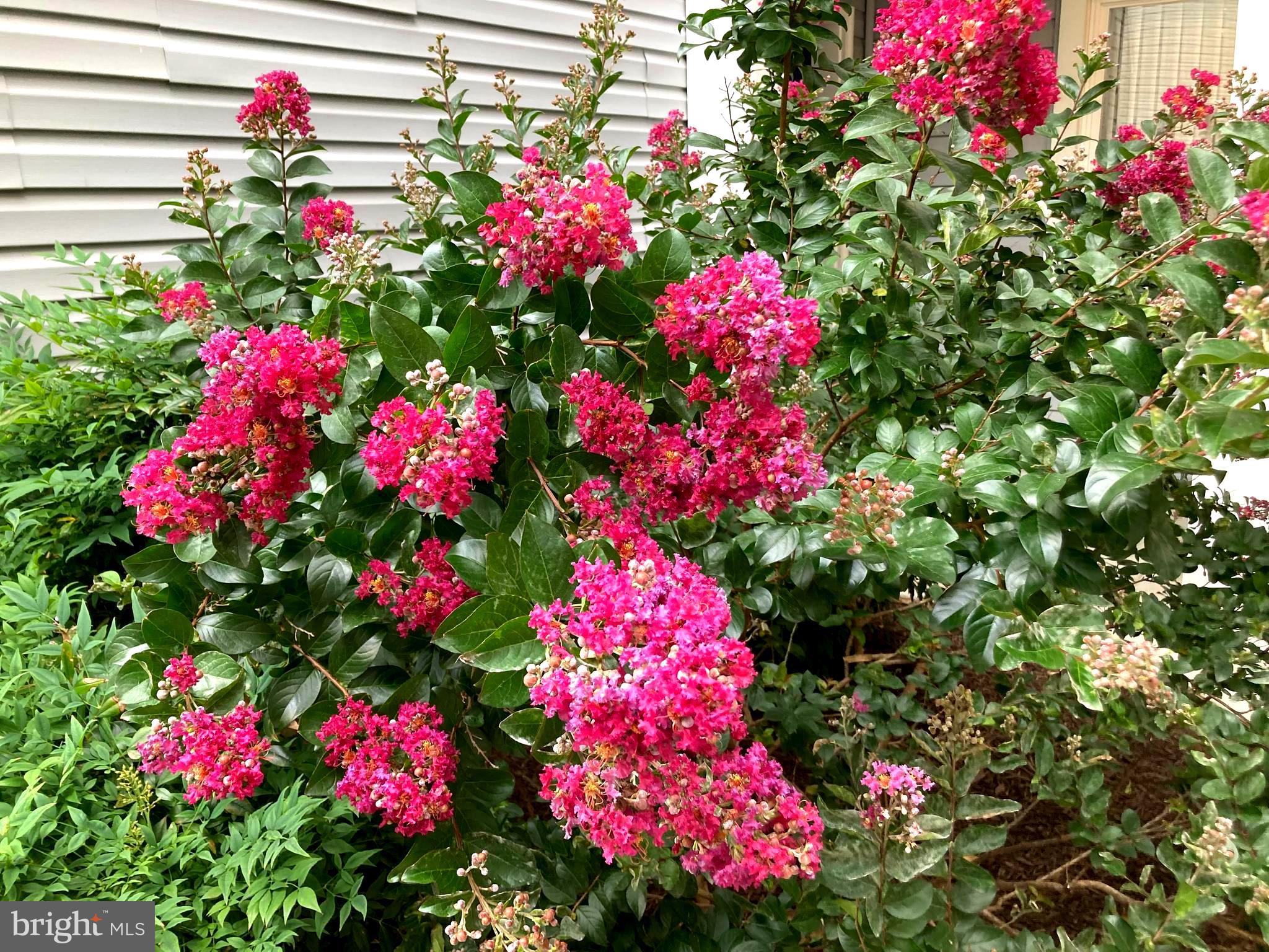 FOUR WINDS AT OAKTON - Residential