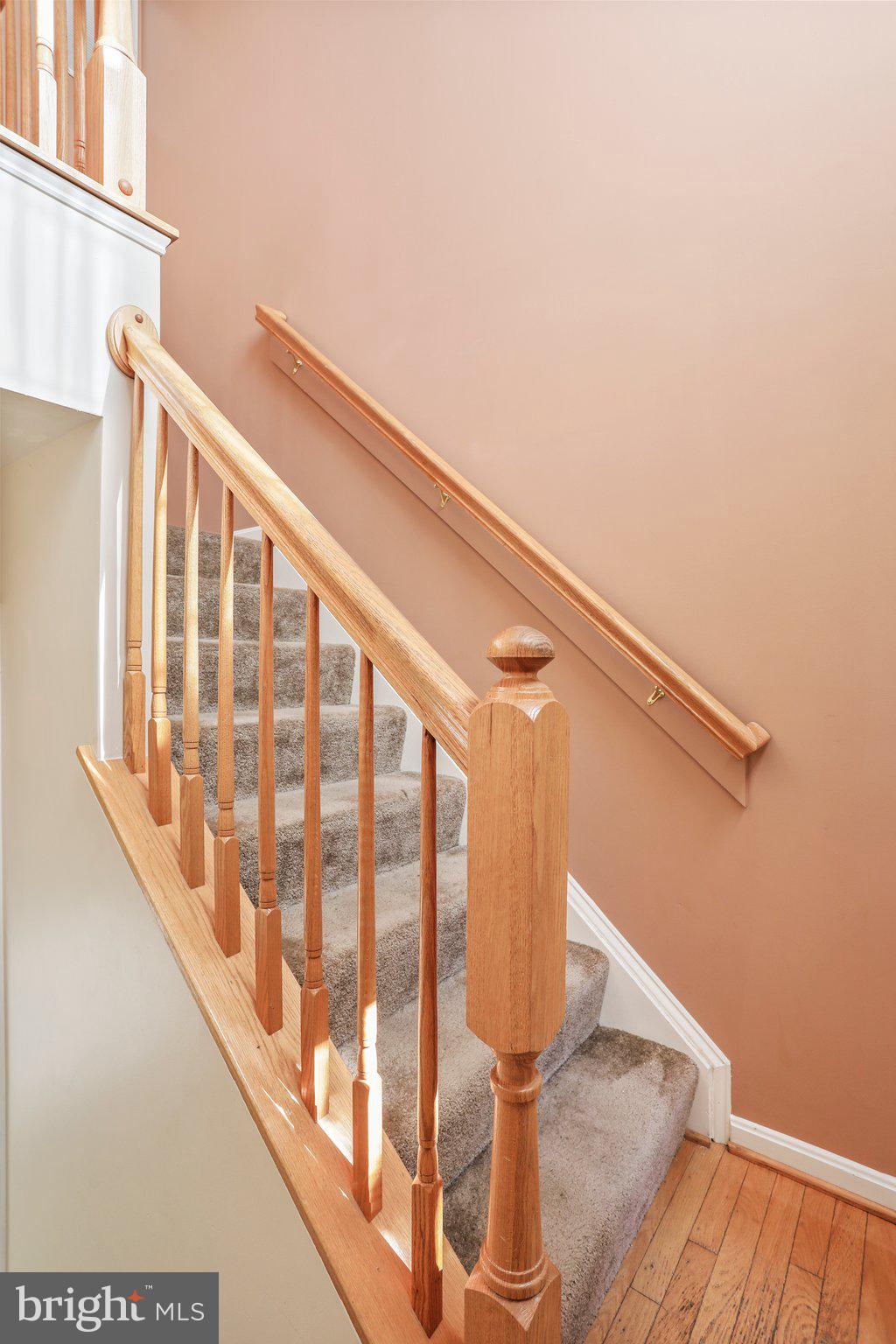 310 GREEN FERN CIRCLE