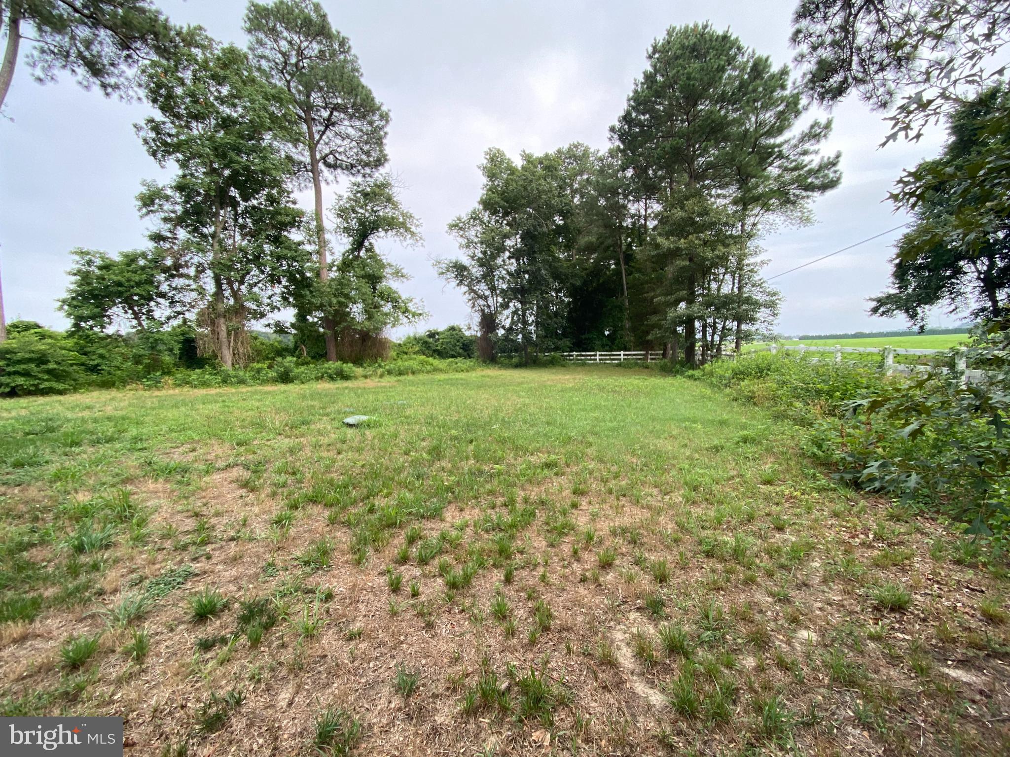 24294 REYNOLDS POND ROAD