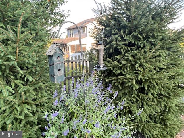 HALL ESTATES II - Residential