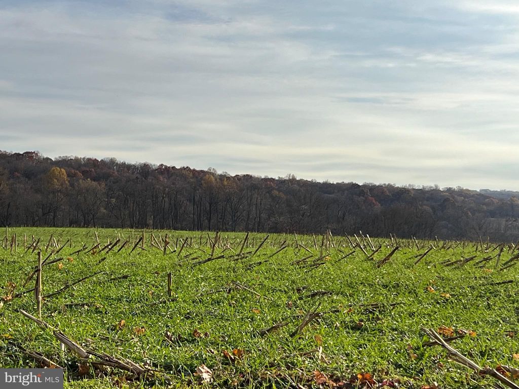 Photo of 0 Frogtown Road, Pequea, PA 17565 (MLS # PALA2043862)