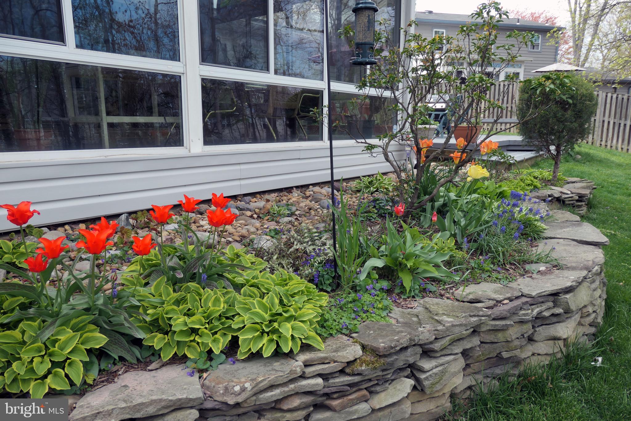 NORTON SQUARE - Residential