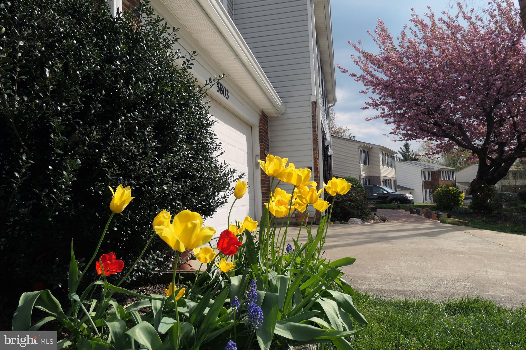 NORTON SQUARE - Residential