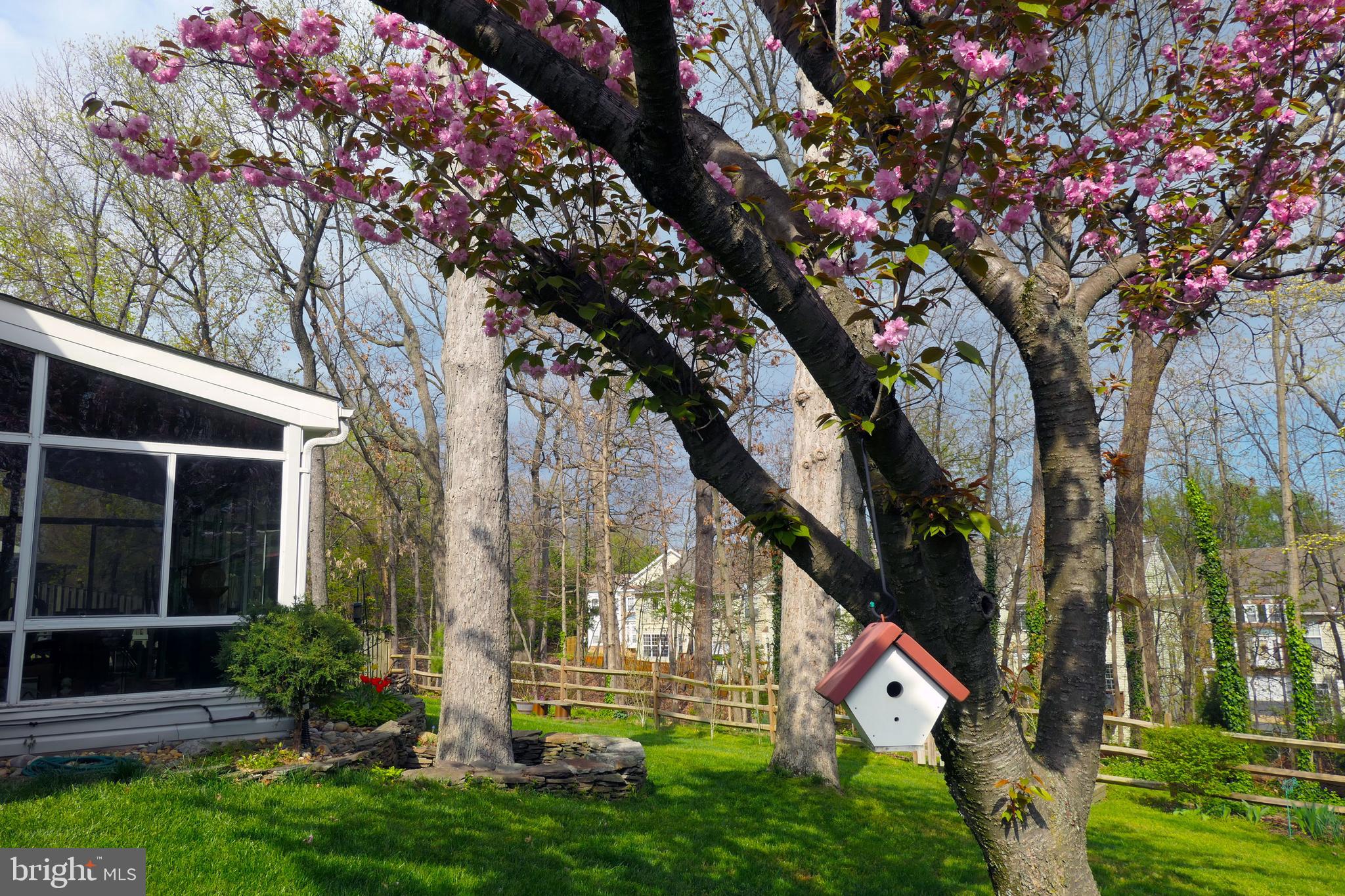 NORTON SQUARE - Residential