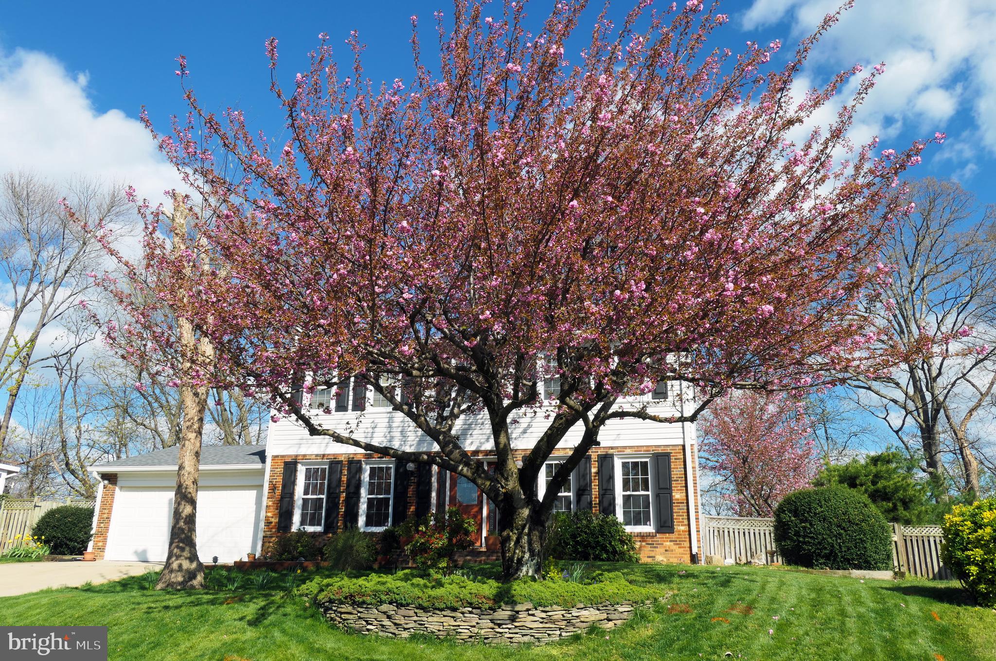 NORTON SQUARE - Residential