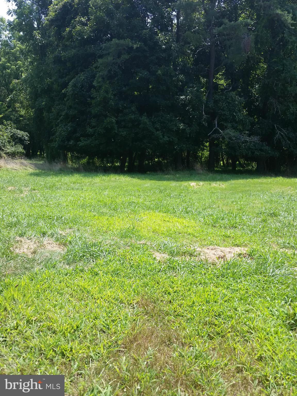 PIKESVILLE - Residential