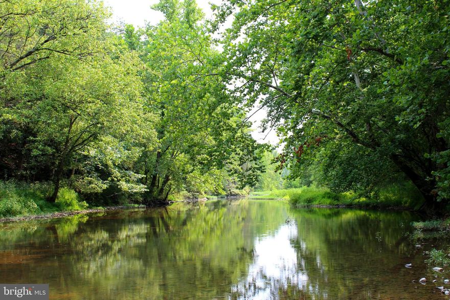 30.39 acre farm with 581 feet fronting  Patterson Creek.    Currently used for cattle.  There is a 40 gallon per minute well that feeds the cabin,  1-4 pod Behlen energy free livestock waterer, 3-2pod Behlen energy free livestock waterers  and 2 hydrants,  including one that will eventually feed the barn/residence.  Fields fenced with electric fencing and gates.  Large established vegetable gardens.  The 14x28 rustic cabin has running water, electric baseboard heat, 200 amp electric service and 2 lofts for sleeping.  The barn/residence is under construction.  A 24x16 section has a poured concrete pad. A 24x24 section is ready for in ground utilities for either a barn or  residence, whichever you choose.  This structure is out of the flood plain.  There is an approved perc for an LPP class II septic system for the property and a concrete vault privy that needs a new outhouse built over it near the little cabin.  Check out the possibilities.