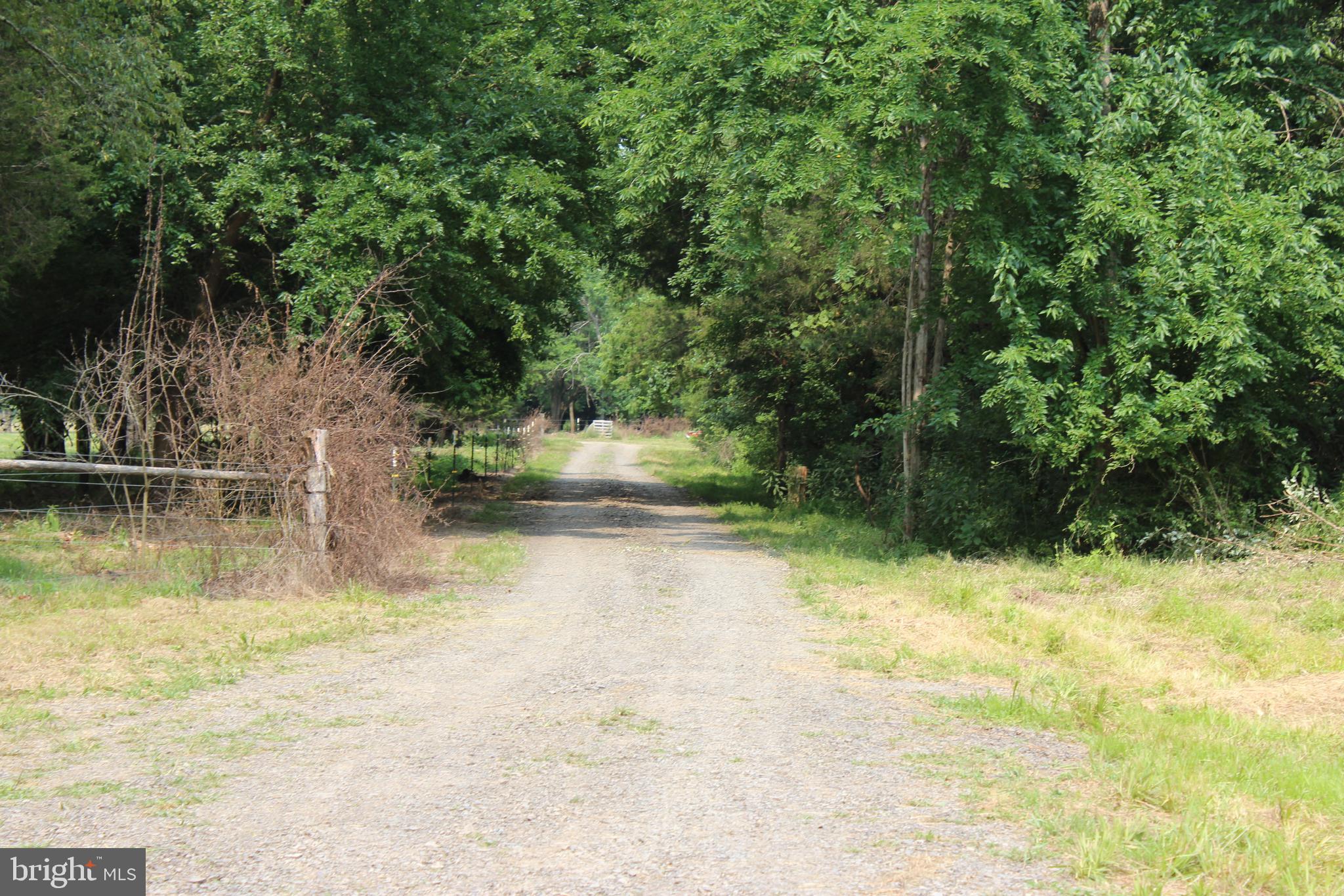 CABIN RUN DIST - Farm