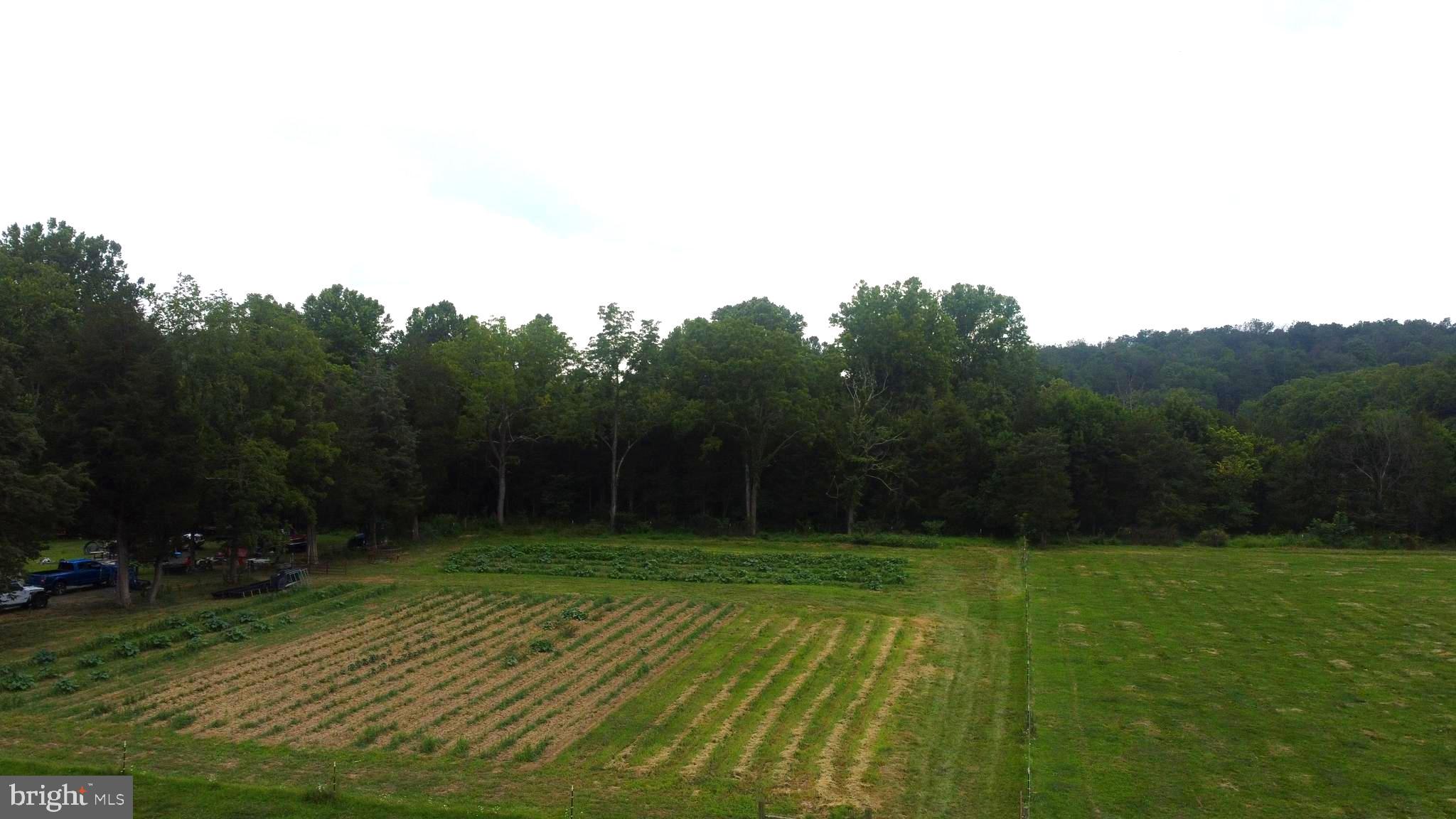 CABIN RUN DIST - Farm