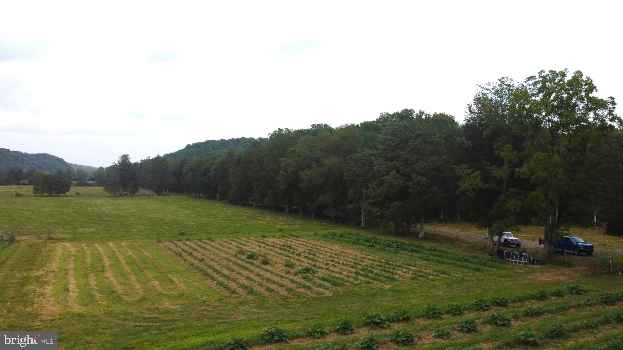 CABIN RUN DIST - Farm