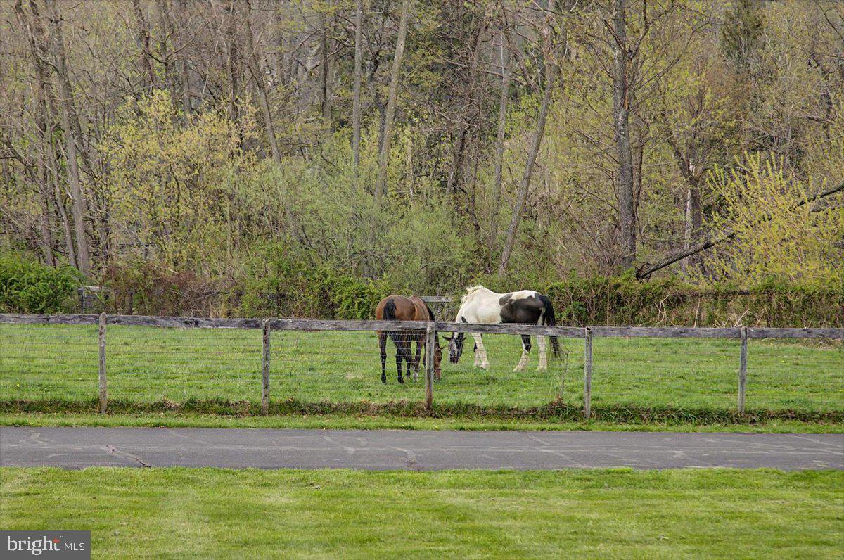 COTTAGEVILLE - Residential