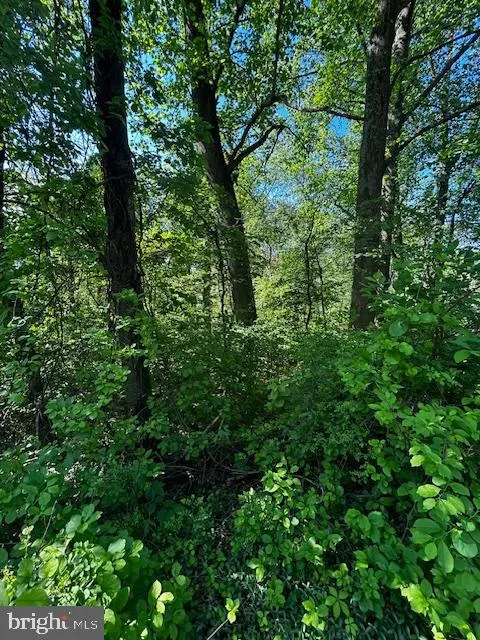 81 Mile Trail, Fairfield, PA MLS: PAAD2017636