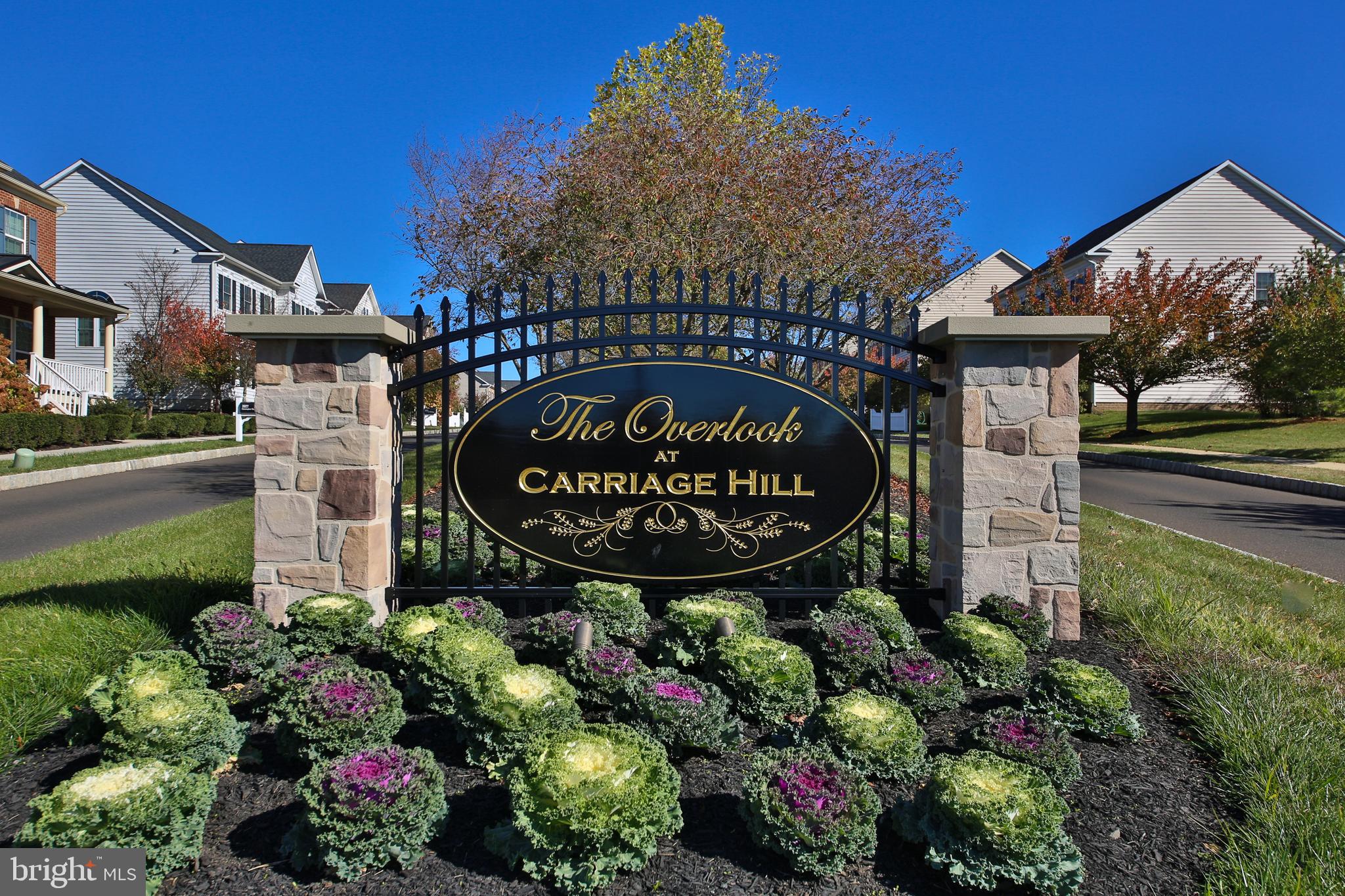 OVERLOOK AT CARRIAGE - Residential