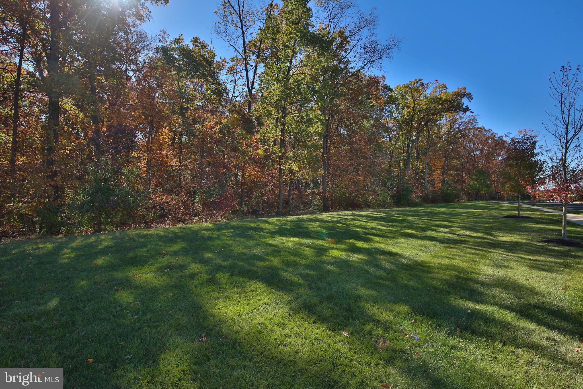 OVERLOOK AT CARRIAGE - Residential