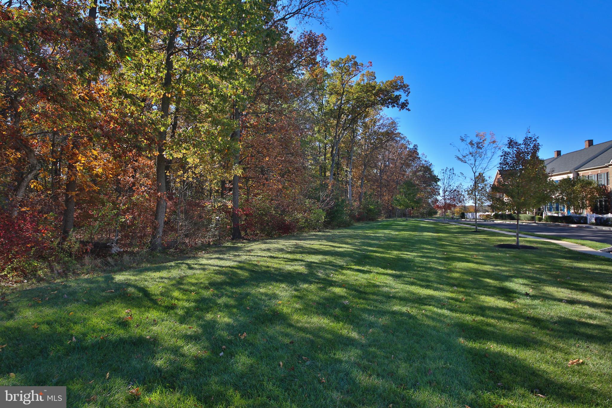 OVERLOOK AT CARRIAGE - Residential