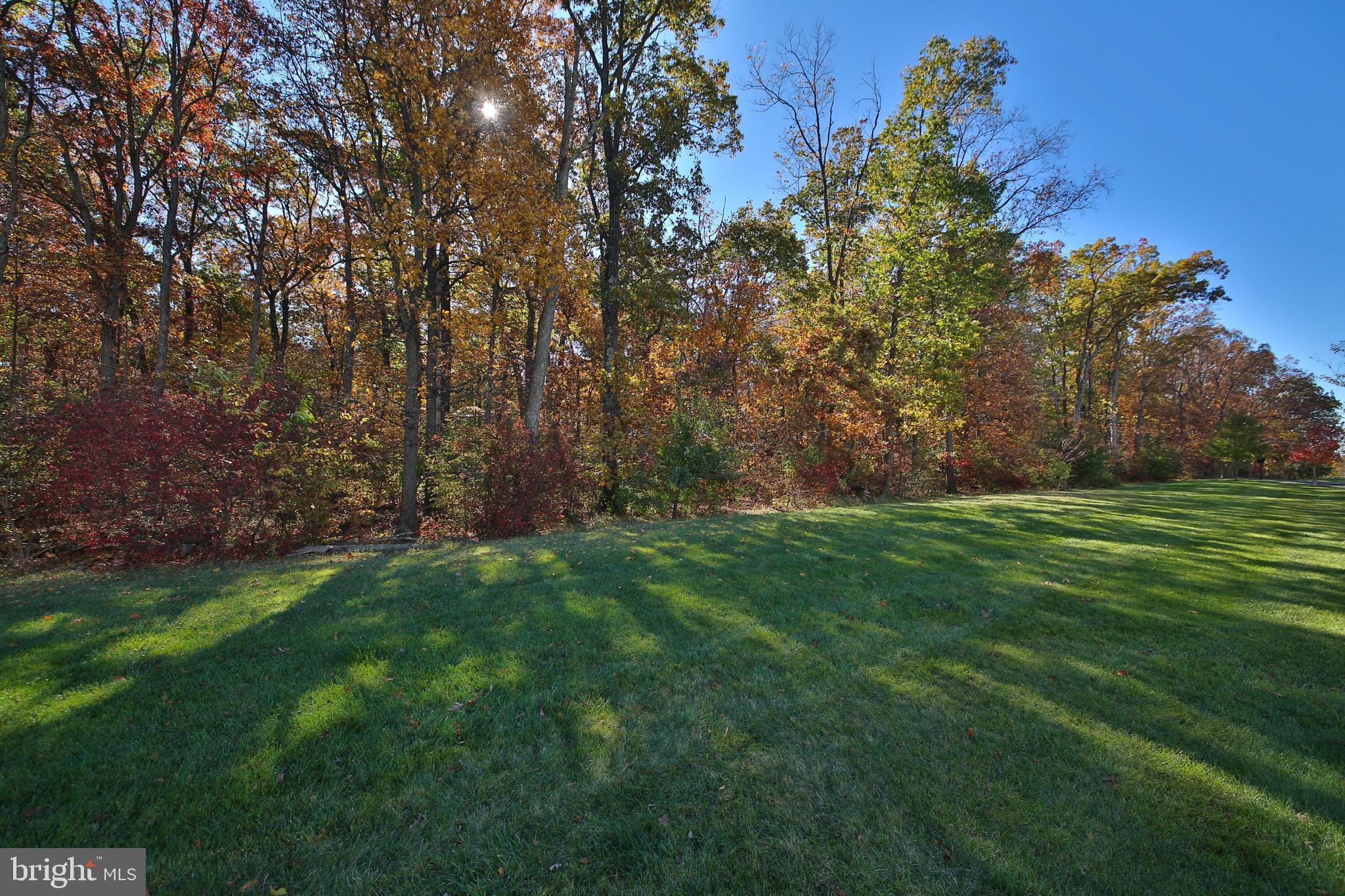 OVERLOOK AT CARRIAGE - Residential