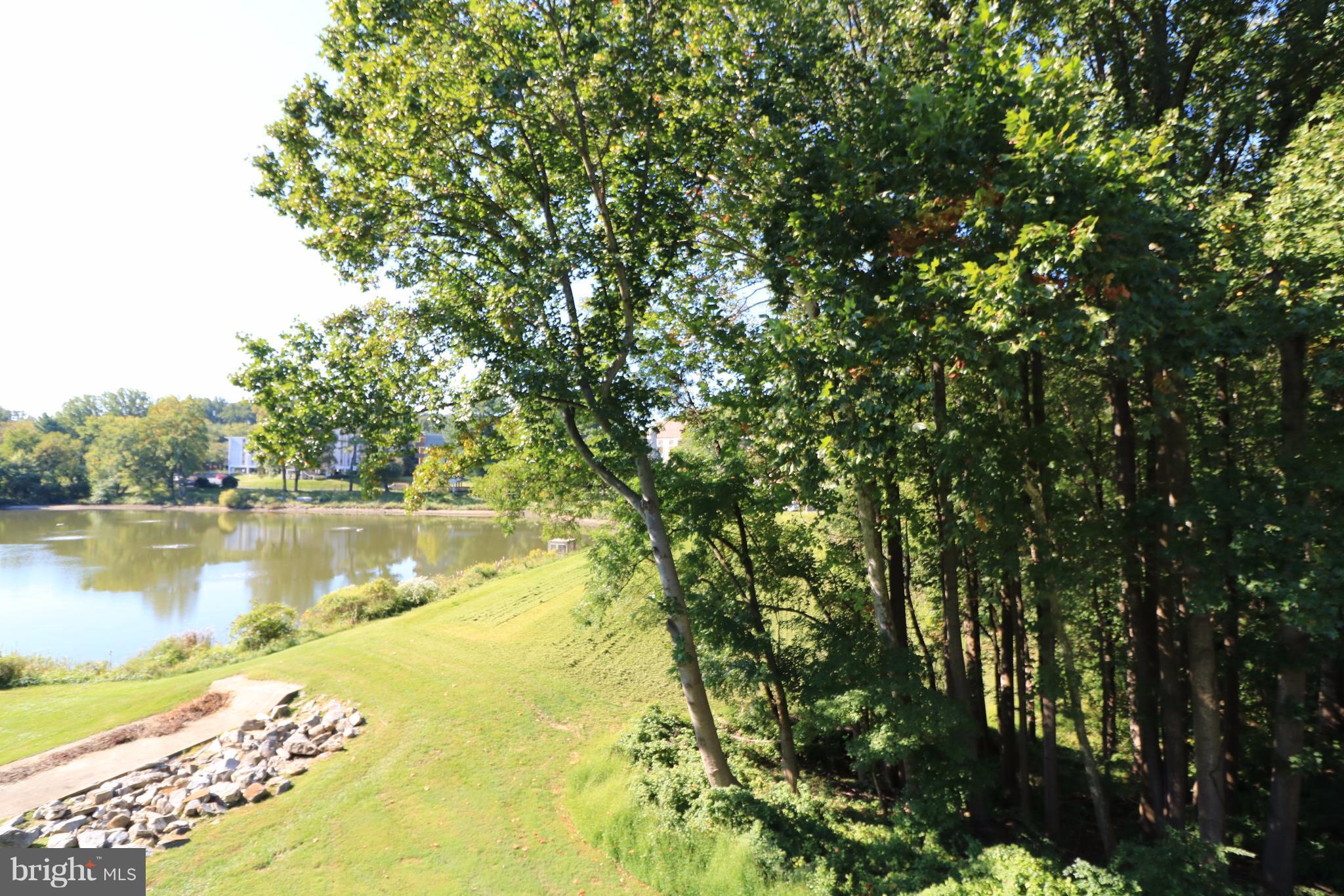 LAKESHORE - Residential Lease