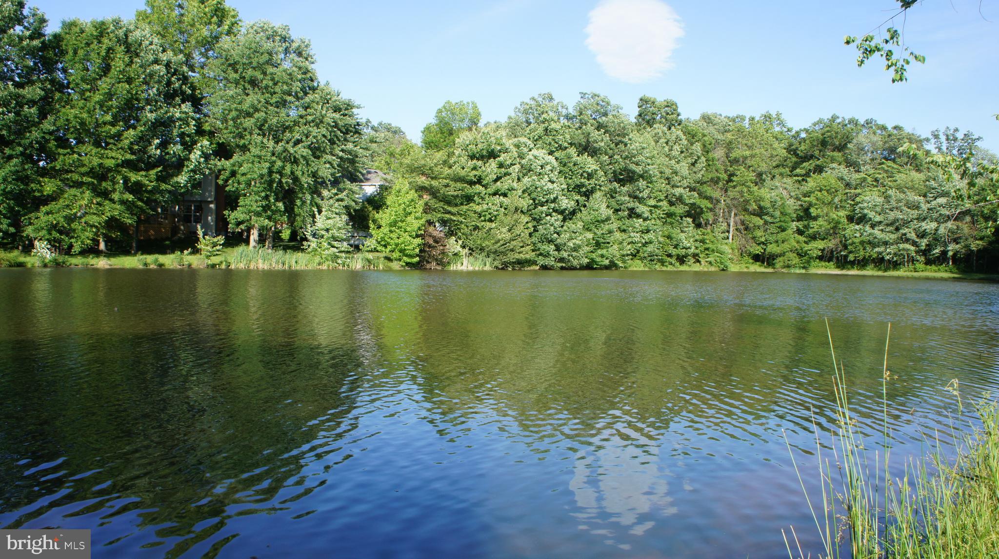 COUNTRYSIDE - Residential