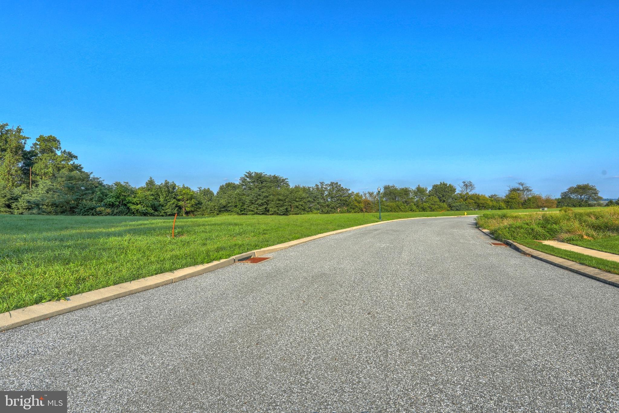 Contact your agent for more information. Great views on this ready to build lot in popular Spring Forge development. All public utilities. Sidewalks and lantern style street lights. Excellent location. Beautiful curved streets. Owner financing available. $500 HOA fee due at settlement.