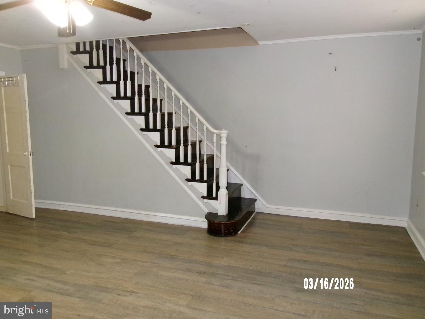 OXFORD CIRCLE - Residential