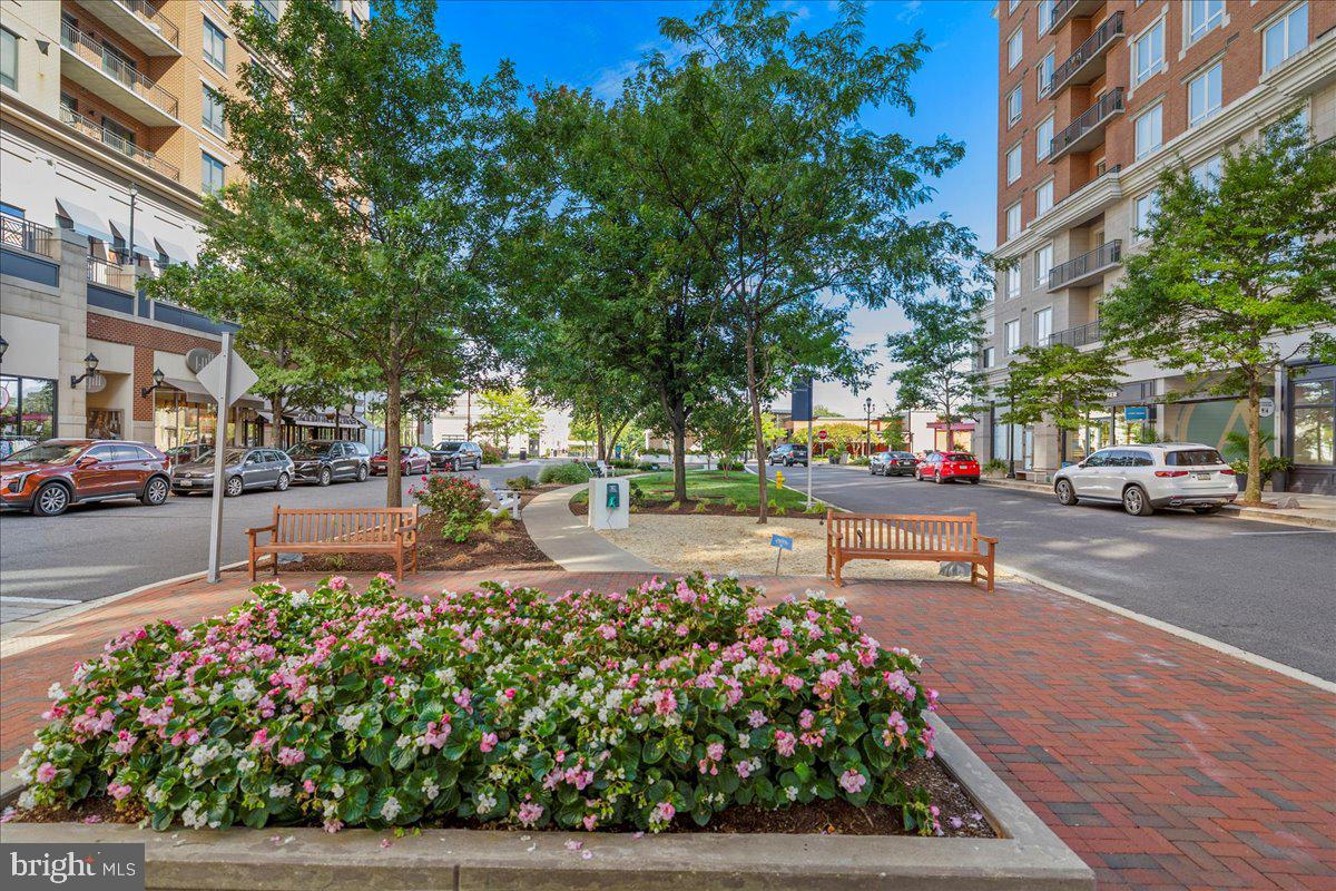 ANNAPOLIS TOWNE CENTRE - Residential