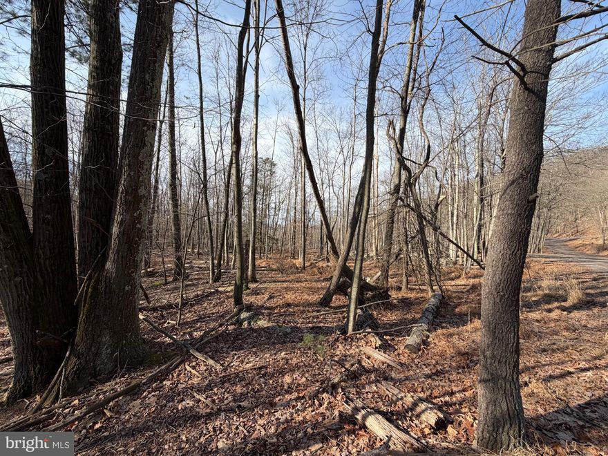 Looking to build in 2026 or beyond?  Secure your lot today!  Situated at the base of the mountain close to the lake, lodge, pool, tennis courts and more you can't ask for a more convenient yet serene location.    This corner lot along with the adjoining lot at 651 Aspen Dr, (also for sale in a separate listing), allows you to the opportunity to purchase both and build on 1.2 acres. Whether you've been imagining building a second home or just waiting to build that forever home, WAIT NO MORE!  The Cove Village Community is situated in the foothills of the Poconos and only 1 1/2 hours to New York,  With easy access to I-81 your commute to Hazleton, Wilkes Barre, or Scranton is a breeze.  Bring your own builder and let's get started.   Another cost-saving perc of the community is having public water and sewer already in place and ready for you to connect through Aqua of Pa.   750 acres of unoccupied prime hunting, ATV, and snowmobile riding land surround the residential portion of Cove Village and is allocated only for the residents of the community and their guests!  Driving through the community, the peace and tranquility will envelop you.  At any given moment the deer, turkey, and birds will entertain you in your own backyard.   Homes within the community vary from rustic cabins and chalets to traditional ranch or two-story homes and even exquisite new construction or dreamy mountain log homes.  There really is something for everyone.  The approximately 278 acres of residential homes and lots are occupied by full-time residents, part-time vacation homes, and even some snowbird second homes.  Cove Village offers an abundance of amenities including a swimming pool, stocked fishing lake, a basketball court, tennis courts, a volleyball court, 2 playgrounds, a baseball field, ATV paths, hunting, a mini golf course, walking paths, and year-round Community events.  I can't forget to mention the beautiful lodge ideal for renting for family gatherings.   This lot and community just might be exactly what you've been looking for.  Air B and B are not permitted. Camping on vacant lots is not permitted.  Mobile homes are not permitted.  Modular homes are permitted. The minimum square footage when building is 1400 square feet.  The community maintains the roads and snow removal.  Trash collection is also provided.   An appointment is required to view due to the gated community.  Call to schedule your tour today!