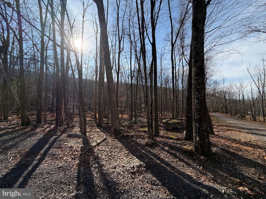 Photo of 650 Aspen Drive, ZION GROVE, PA 17985 (MLS # PASK2025102)