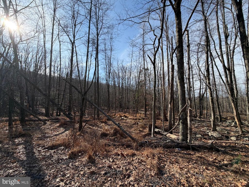 Photo of 650 Aspen Drive, ZION GROVE, PA 17985 (MLS # PASK2025102)